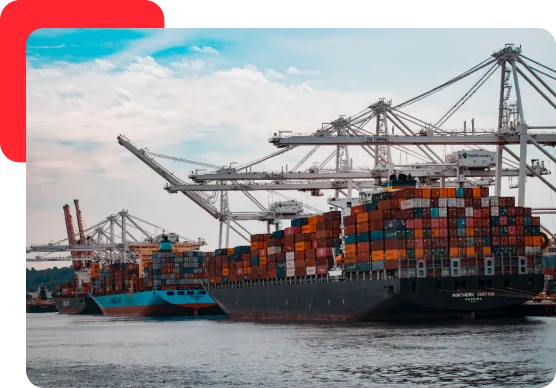 Export Expert Indonesia
